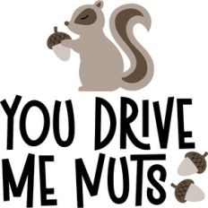 you drive me nuts