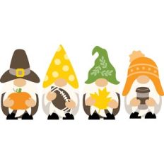Fall Gnomies