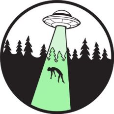 UFO abduction