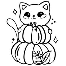 Cute cat and pumpkins