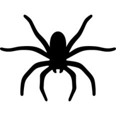 spider silhouette