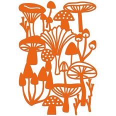Mushrooms Toadstools Fungi