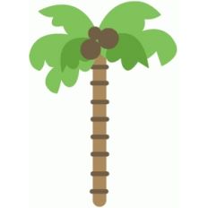 palm tree