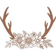 floral antler