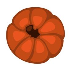 Top Down Pumpkin