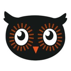 Owl Face