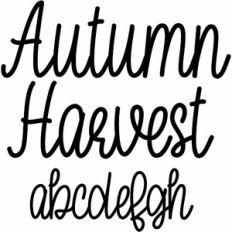 autumn harvest handwriting script font