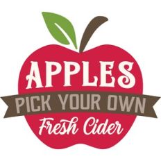 Apples