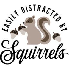 Easily distracted by Squirrels