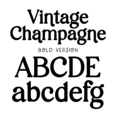 BFC Vintage Champagne Bold Modern Classy Retro Serif Font