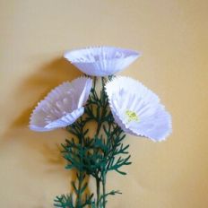 Double Cosmos Cupcake White