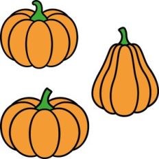 Pumpkin Bundle