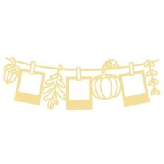 photo banner