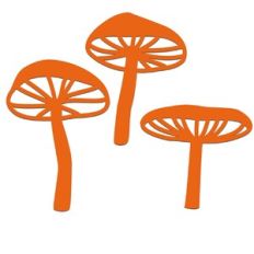 Mushrooms Fungi Toadstools