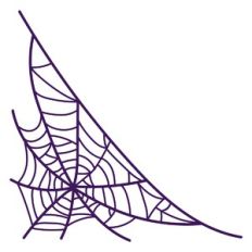Spider Web