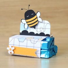 Bee 4 Chocolates Packaging