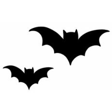 Bats
