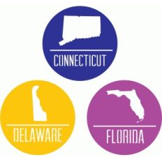 state badges - ct de fl