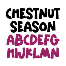 BFC Chestnut Season Bold Autumn Fun Chunky Title Font