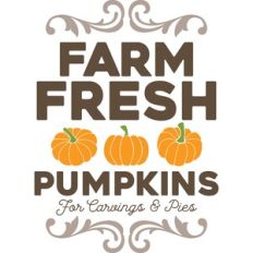 Farm Fresh Pumpkins