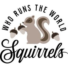who runs the world squirrels