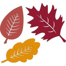 Fall Leaves