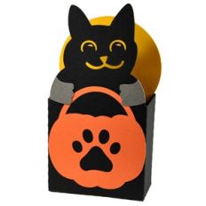 Kitty Trick or Treat Box