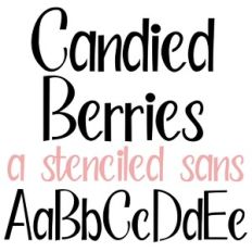 PN Candied Berries Stencil