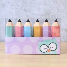 Acetate Pencil Box Purple