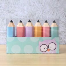 Acetate Pencil Box Green