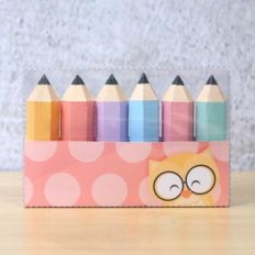 Acetate Pencil Box Light Red