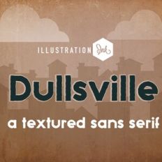 ZP Dullsville Bold