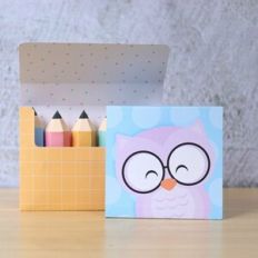 Colored Pencil Box