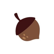 Acorn