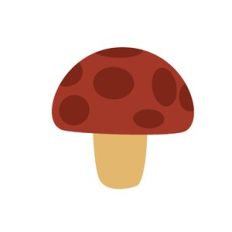 Mushroom