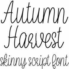 autumn harvest skinny script font