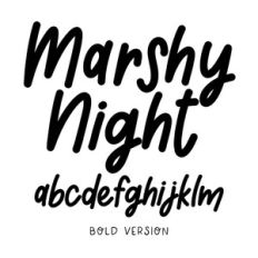 Marshy Night Bold Marker Italic Handwriting Font