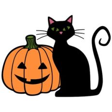 short jack-o-lantern cat