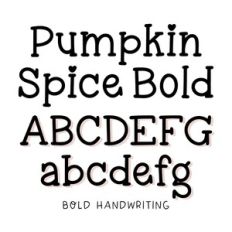 BFC Pumpkin Spice Bold Serif Handwriting Autumn Font