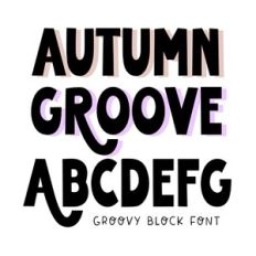 BFC Autumn Groove Retro Chunky Block Boho Swooped Font
