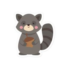 Racoon