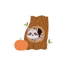 Racoon in Tree