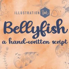 PN Bellyfish Bold