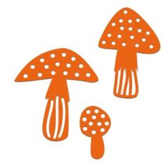 Mushrooms Fungi Toadstools