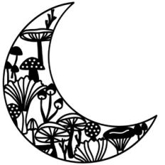 Toadstool Moon
