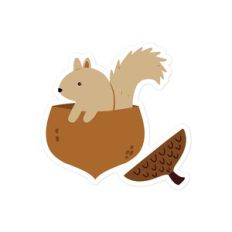 Squirrel
