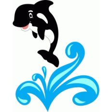 orca whale