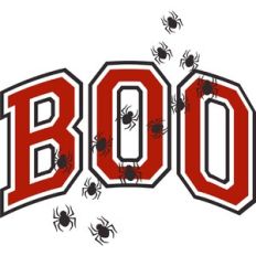 Boo Spiders