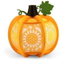 3D Pumpkin Sunflower