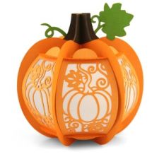 3D Pumpkin Flourish